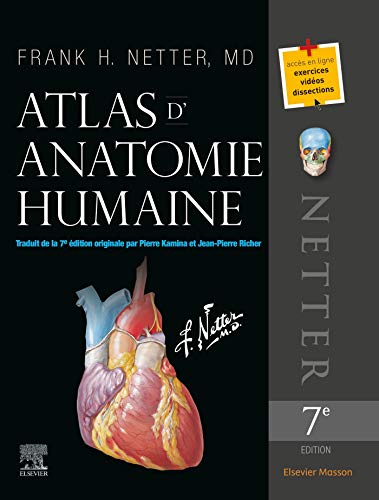 dormir du bon côté anatomie du corps humain